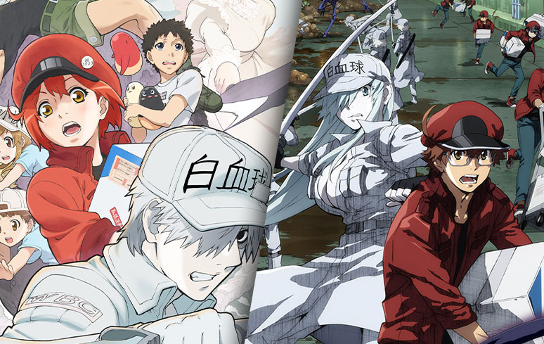 HGS Anime - Hataraku Saibou Black é um spin off da série Cells at Work, com  papéis inversos em relação aos gêneros dos glóbulos. Se passa no corpo de  uma pessoa doente