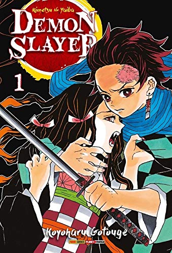 Capa de Demon Slayer com Tanjiro segurando Nezuko.