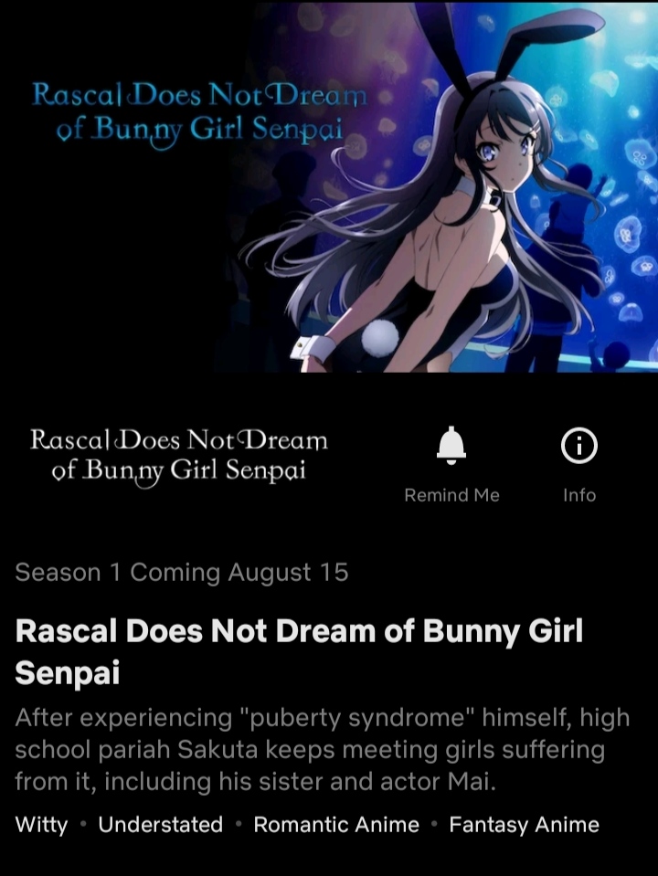 Imagem: Tela de 'Bunny Girl Senpai' na Netflix.