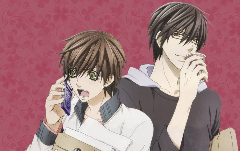 Funimation adiciona ao seu catálogo os animes Sekai Ichi Hatsukoi e Record  of Lodoss War: Chronicles of the Heroic Knight - Crunchyroll Notícias