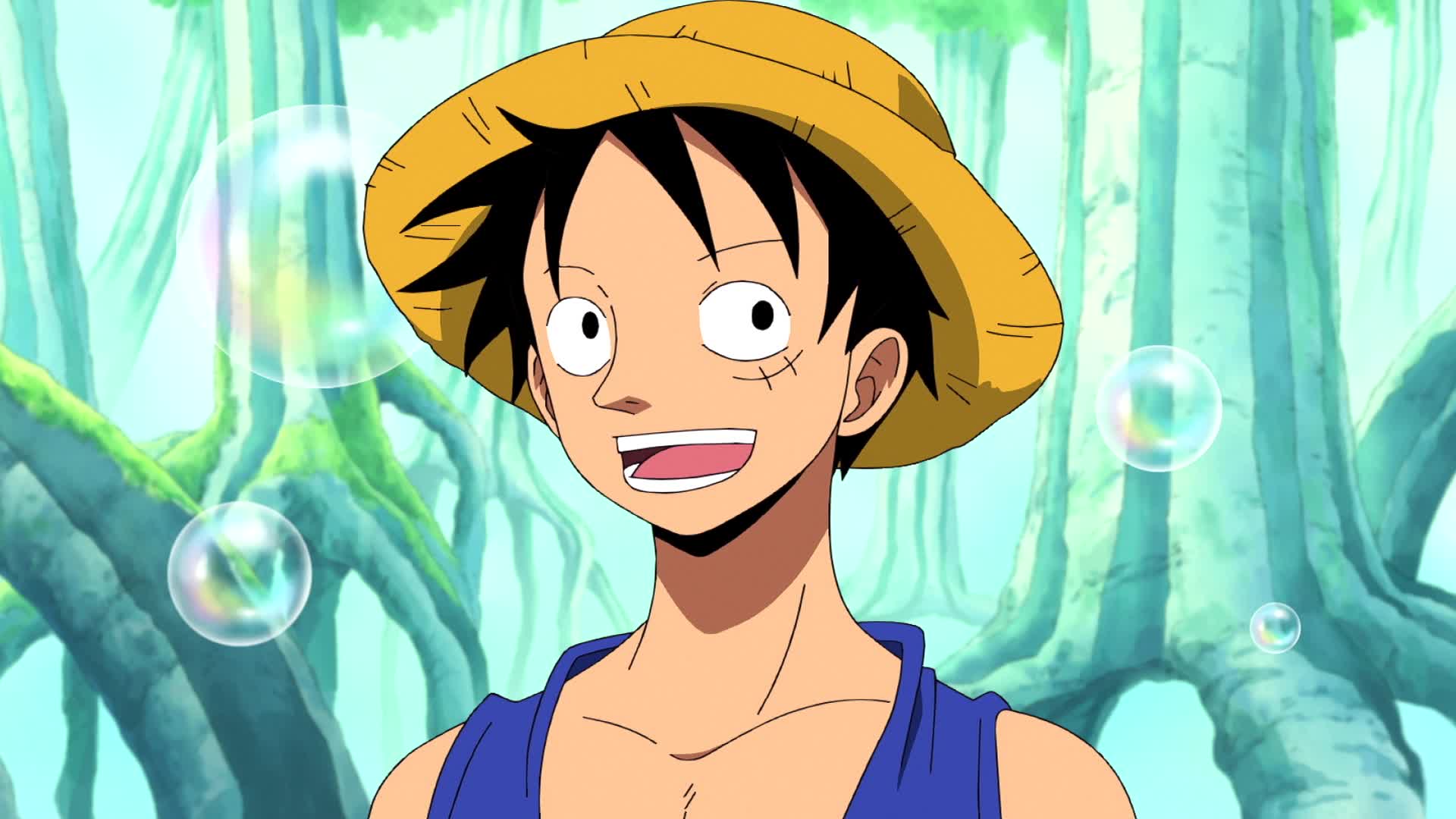 One Piece: Arco de Sabaody finalmente ganha data de estreia na Netflix -  Notícias Geek - BCharts Fórum