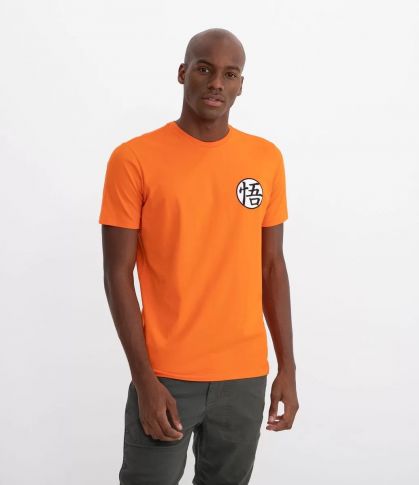 Imagem: Camiseta laranja com o símbolo da roupa do Goku.