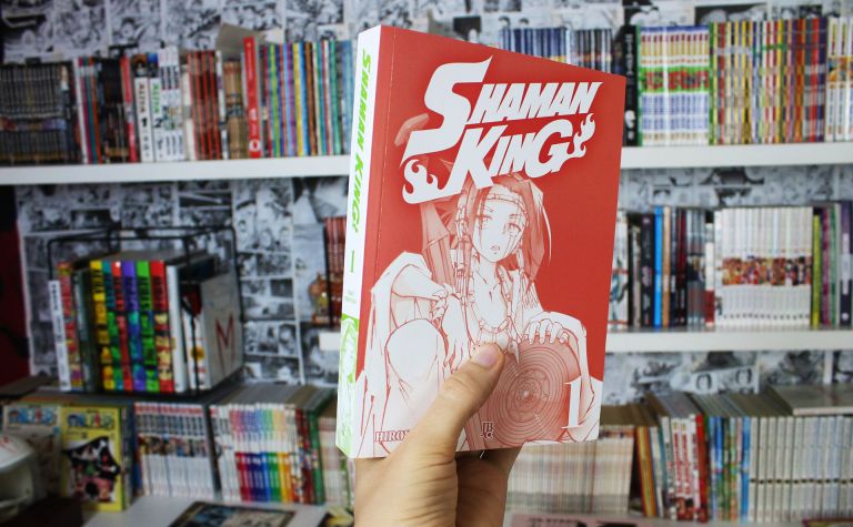 imagem: 4ª capa do volume 1 do mangá Shaman King
